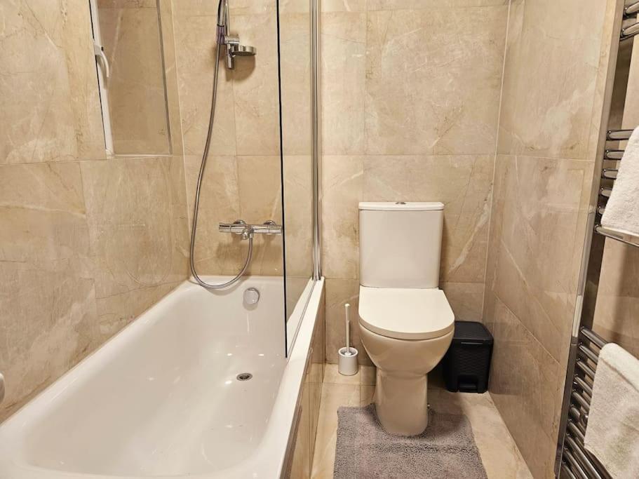 Wonderful Apartment In Wembley Londyn Zewnętrze zdjęcie